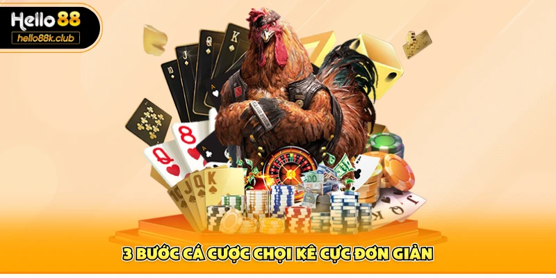 3 bước cá cược chọi kê cực đơn giản