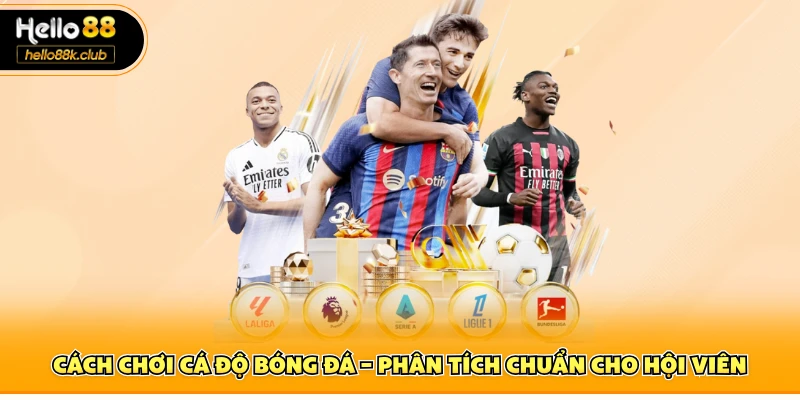 Cách chơi cá độ bóng đá