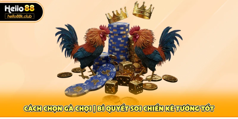 Cách chọn gà chọi