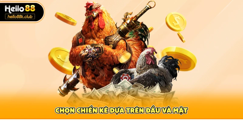 Chọn chiến kê dựa trên đầu và mặt