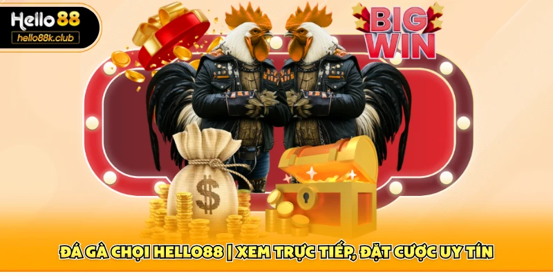 Đá gà chọi Hello88