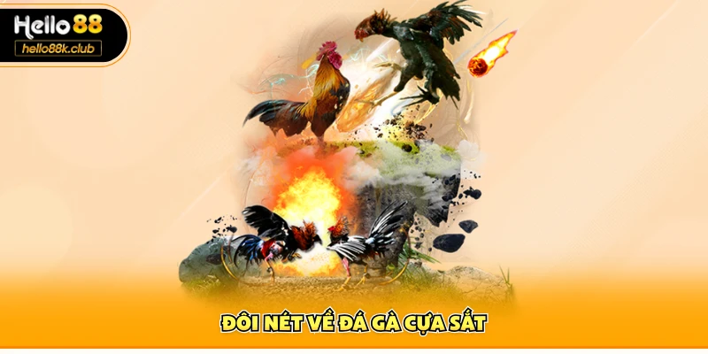 Đôi nét về đá gà cựa sắt