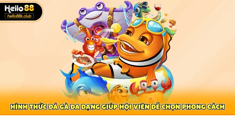 Đá Gà Hello88 2 Hình thức đá gà đa dạng giúp hội viên dễ chọn phong cách