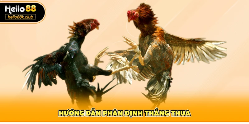 Hướng dẫn phân định thắng thua