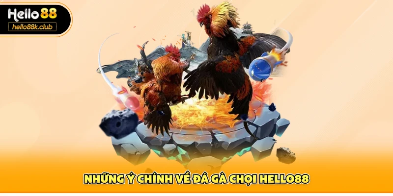 Những ý chính về đá gà chọi Hello88