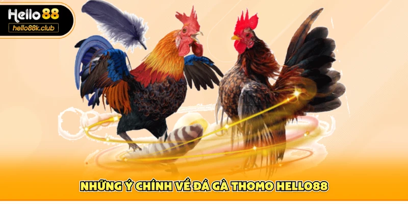 Những ý chính về đá gà Thomo Hello88