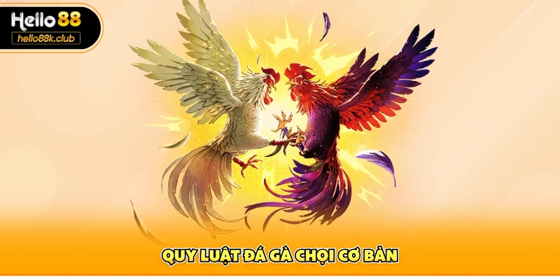 Quy luật đá gà chọi cơ bản