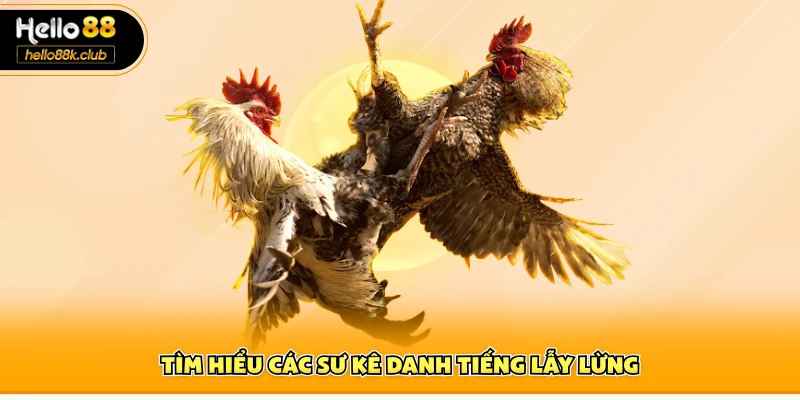 Tìm hiểu các sư kê danh tiếng lẫy lừng